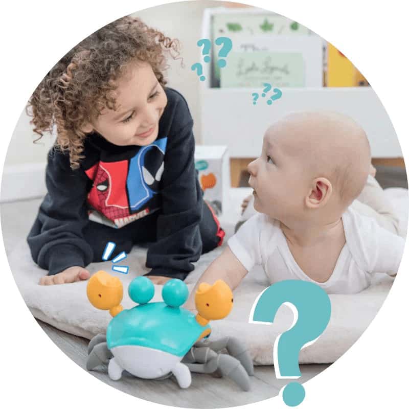 سلطعون المرح