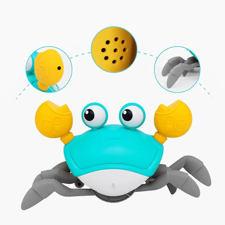 سلطعون المرح